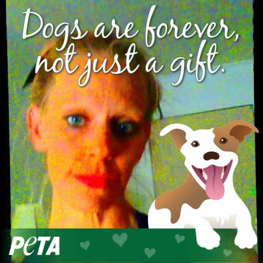 Meet your Posher, Jayme